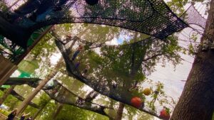 GoApe Nets Adventure at Black Park country park, Slough