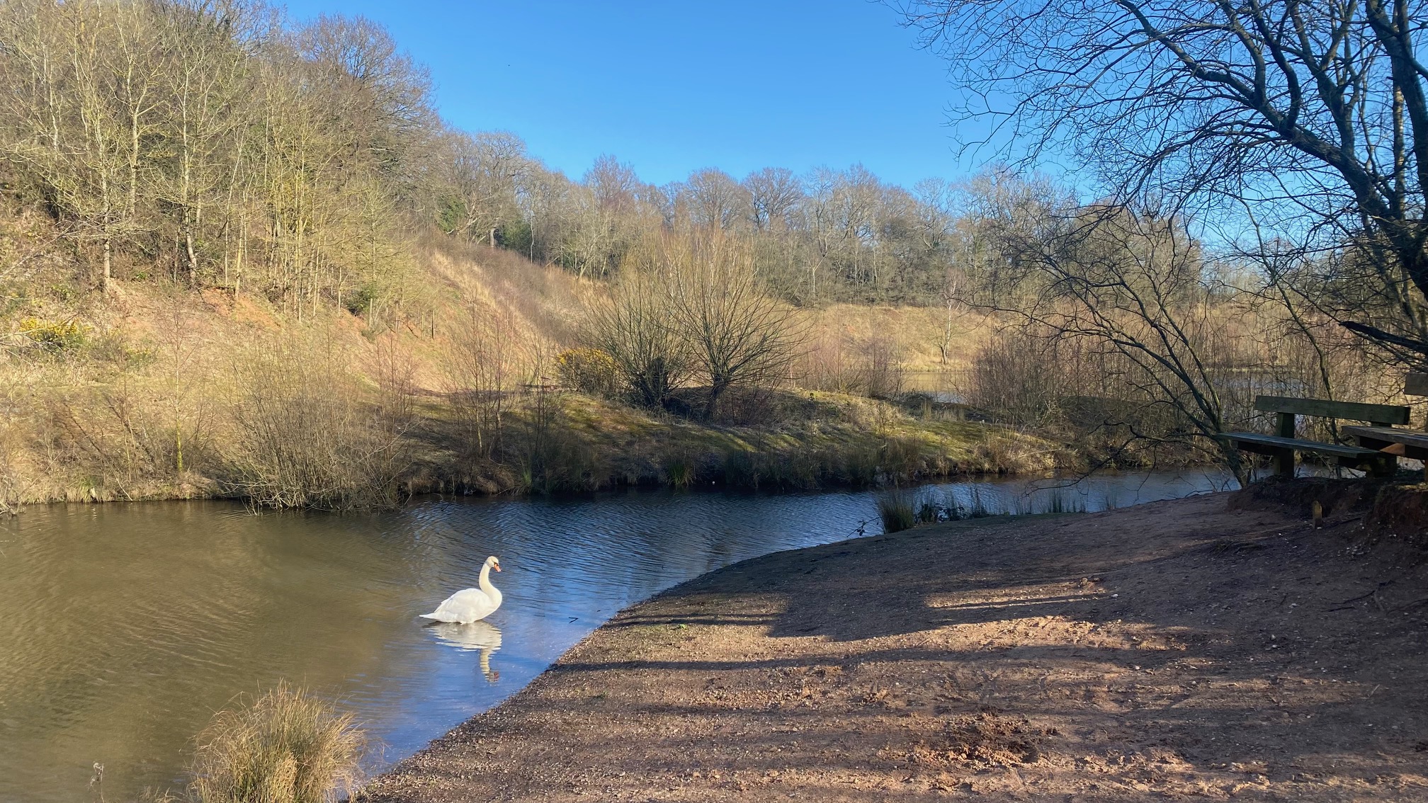 Walk: Brandon Reach Nature Reserve, Warwickshire 